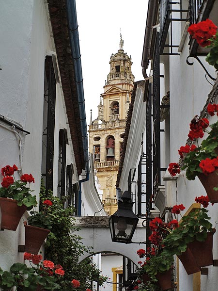 ������� ���������: ���������� ������������ ������. �������� �� �������