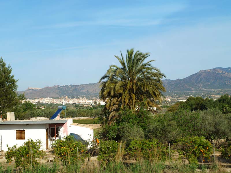 ������� ���������: �� ����� ������ � �����������. ���� � �������