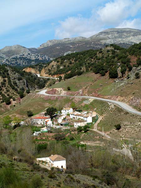 ������� ���������: ����� � ������������� ����. ���� � �������