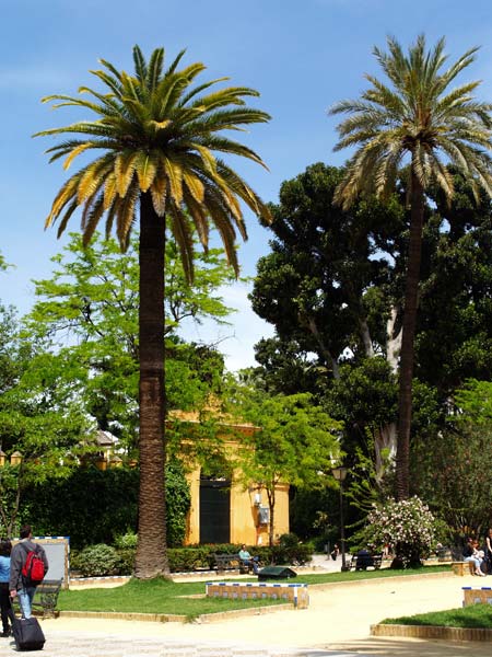 ������� ���������: ������. �������, �� �������