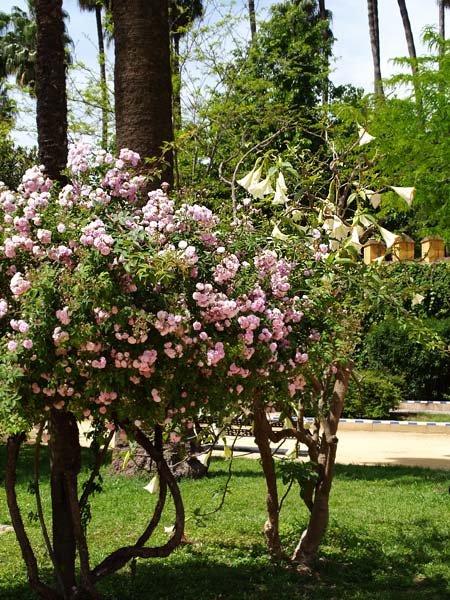 ������� ���������: ������ � ��������������. �������, � �����