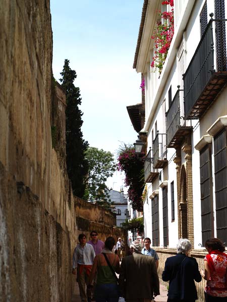 ������� ���������: ����� � ���������� �����. �� ������ �������