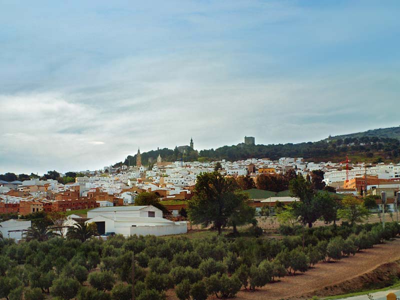 ������� ���������: ��������� ����. ������ � �������