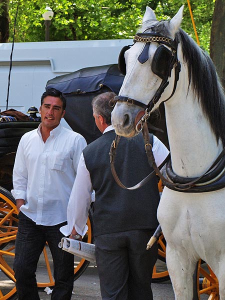 ������� ���������: ����. �������, �� ������� � �������