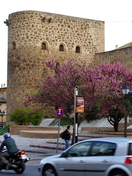 ������� ���������: ������ ��������. ����� ������