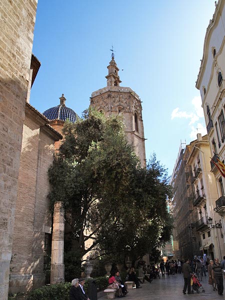 ������� ���������: ����� �������. ��������