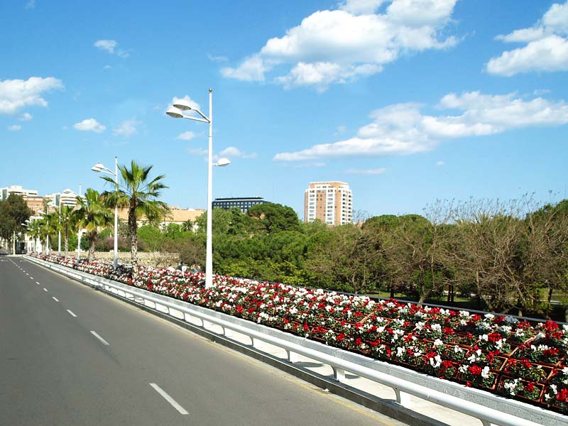 ������� ���������: ����� ��������, ���� � ������. ��������, ���� ����� �����