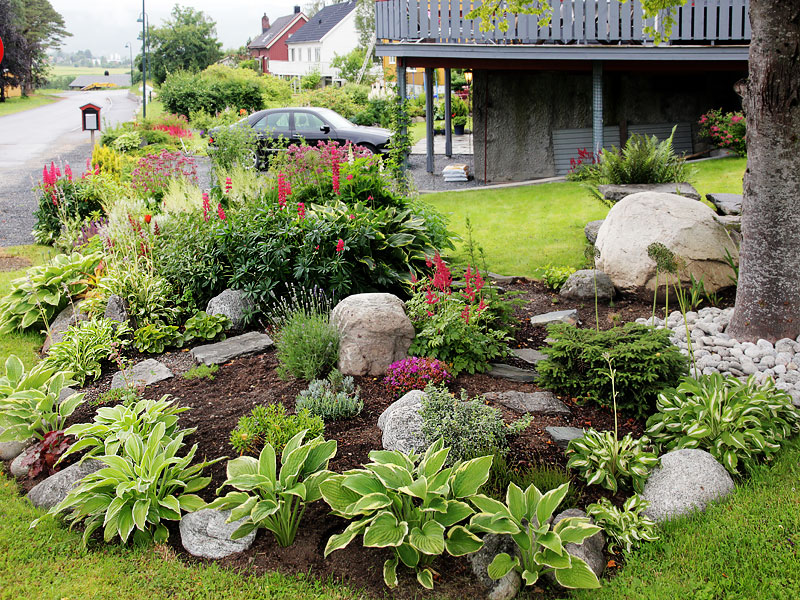 ������� ���������: ���������� �����. ����� � ����