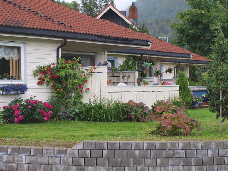 ������� ���������: ������ ���������� ���. ��� ���� �����