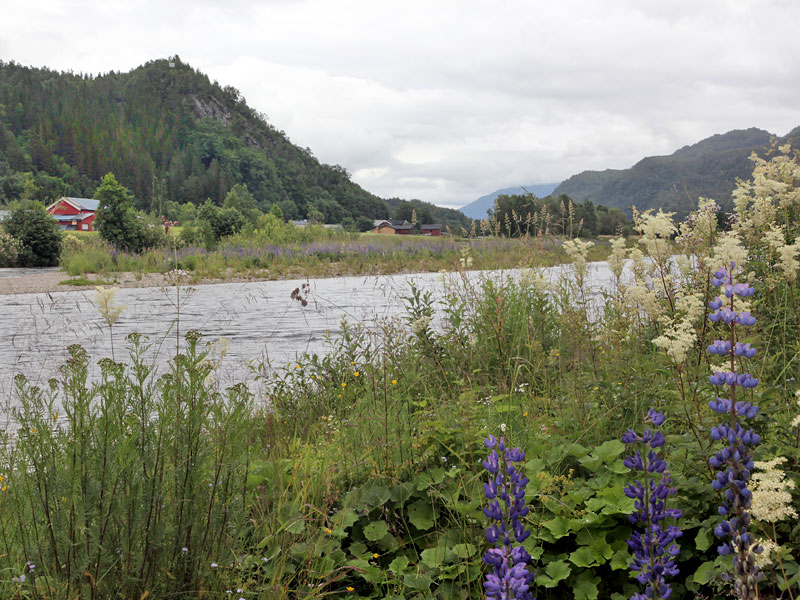 ������� ���������: ���� ���, ����� �� ����.... ���� �����