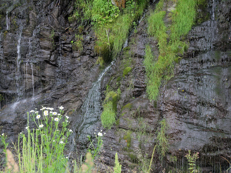 ������� ���������: ������������ � �������, ������ - ���������� �������. ������ �����