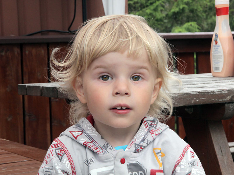 ������� ���������: ���������� ����� �����. ����