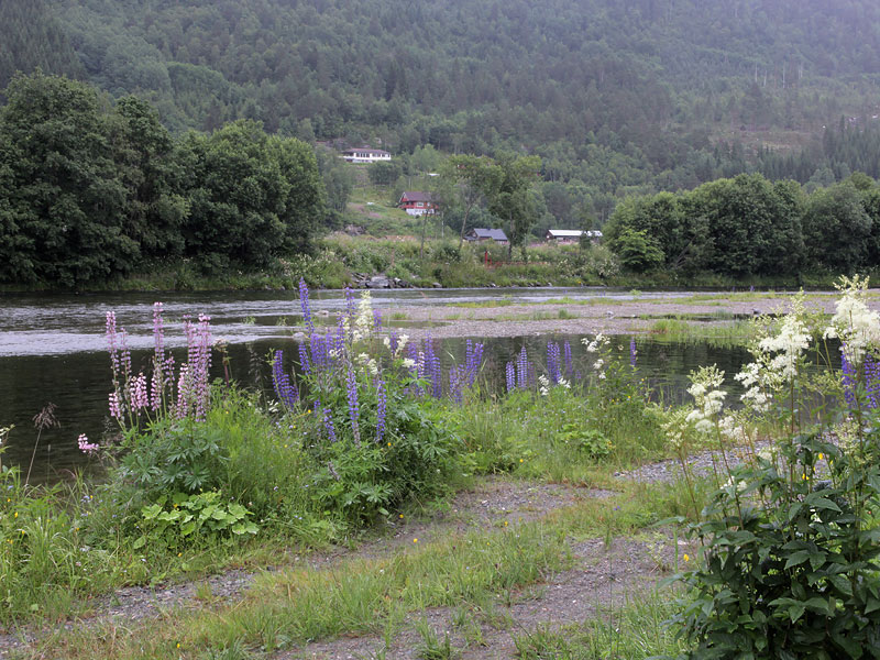 ������� ���������: ���� - ��������� ���������. ���� �����