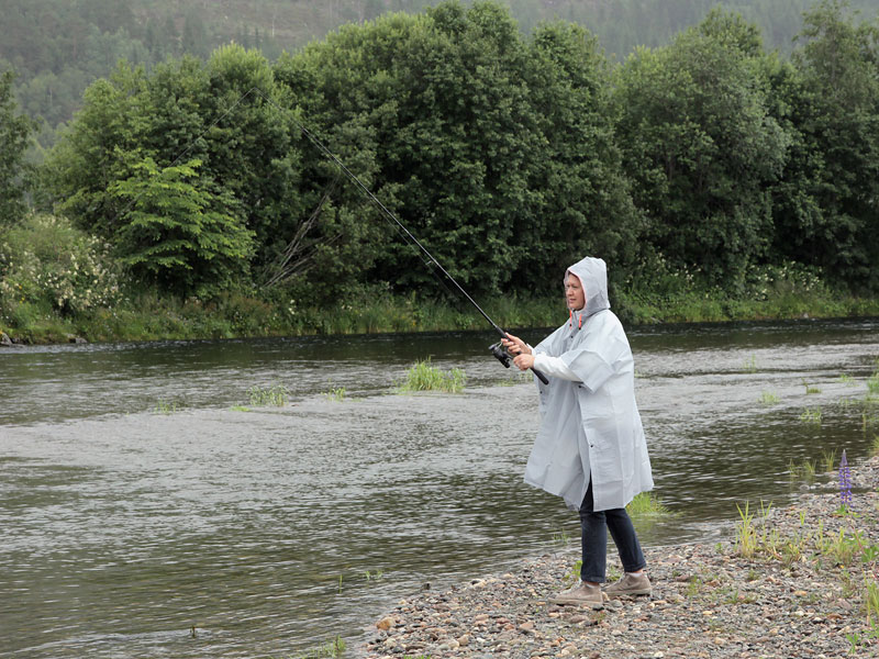 ������� ���������: ��� � �������� ����. ������� � ��������