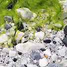 ��������� ������ �� �����