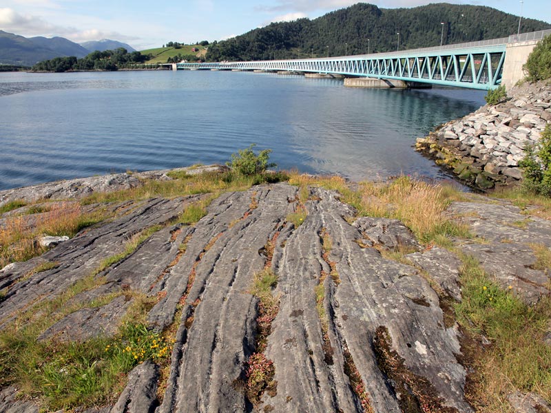 ������� ���������: ��������� �� �������. �������� ����