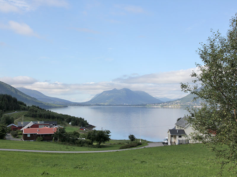 ������� ���������: ���� �� ������. ��� ���� ���������