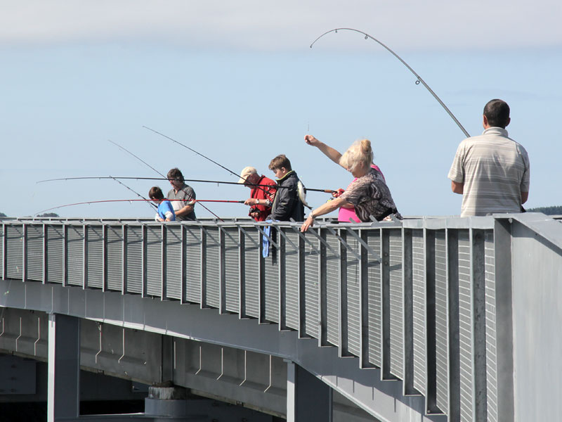 ������� ���������: ������� �� �����. ������������� ������