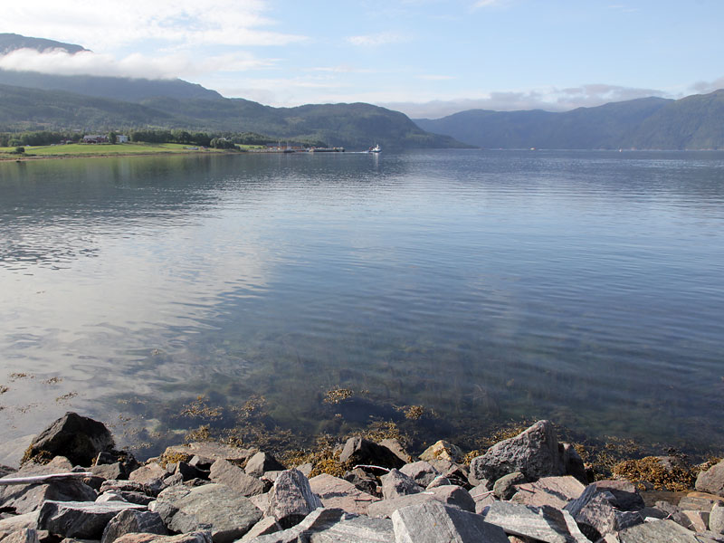 ������� ���������: � �������� ������. � ���������