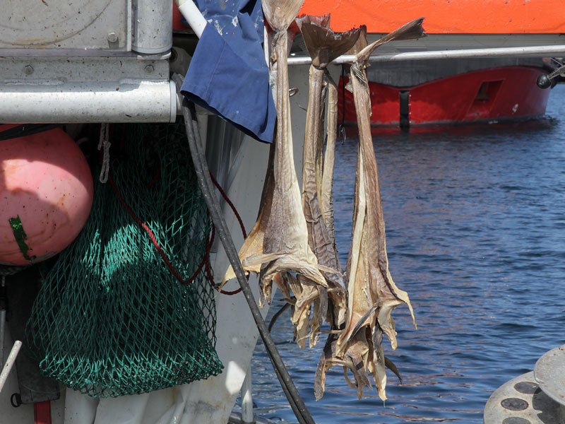 ������� ���������: ������� ������. ��������