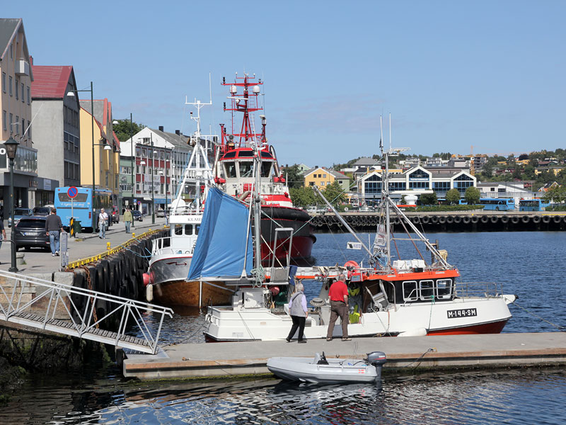 ������� ���������: �����-����. �����������