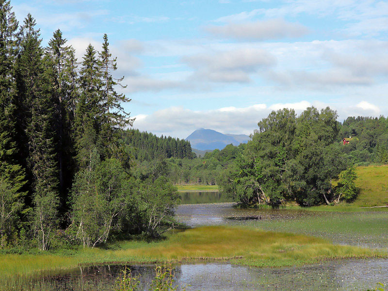 ������� ���������: ��������� �� ����������. ������ �����