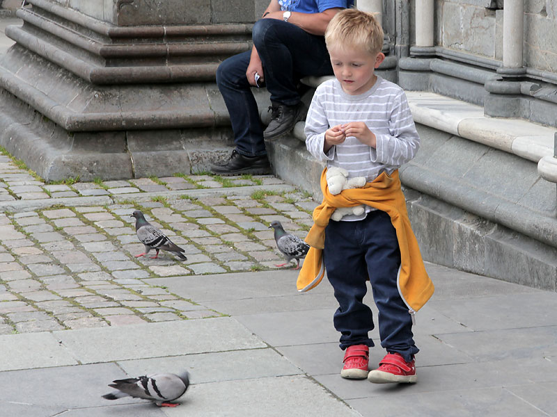 ������� ���������: ������� � ������. �� ���������