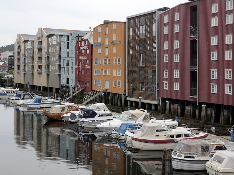 ������� ���������: � ��� �� ����. ����������