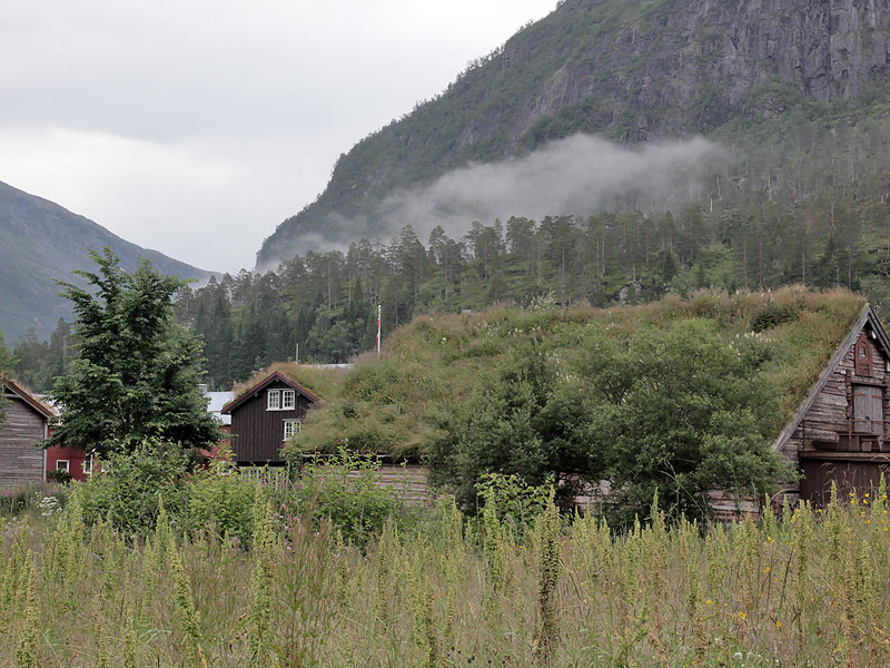 ������� ���������: ������ �� ����. ���������� ���������