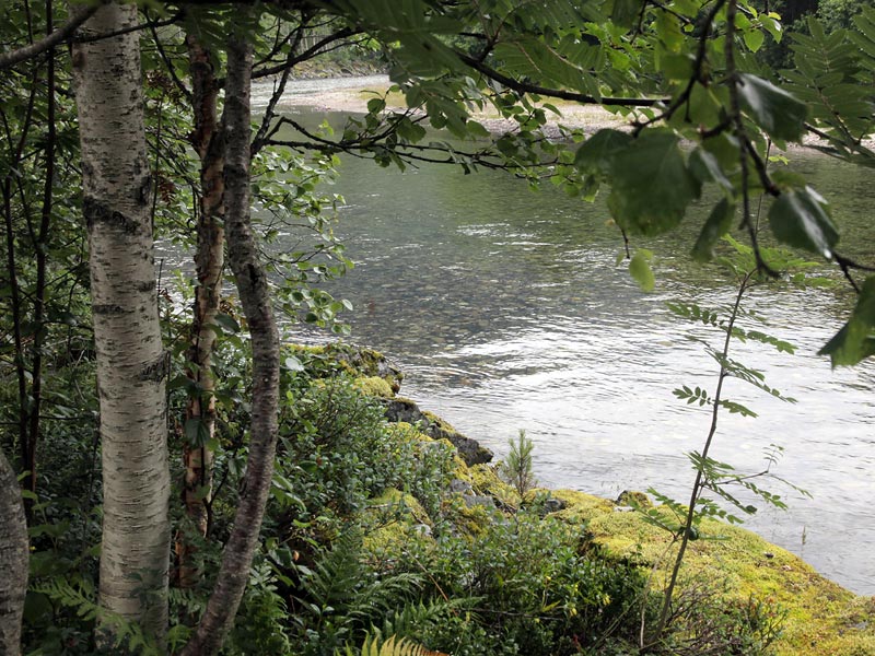 ������� ���������: ���� ��������. ������ �����