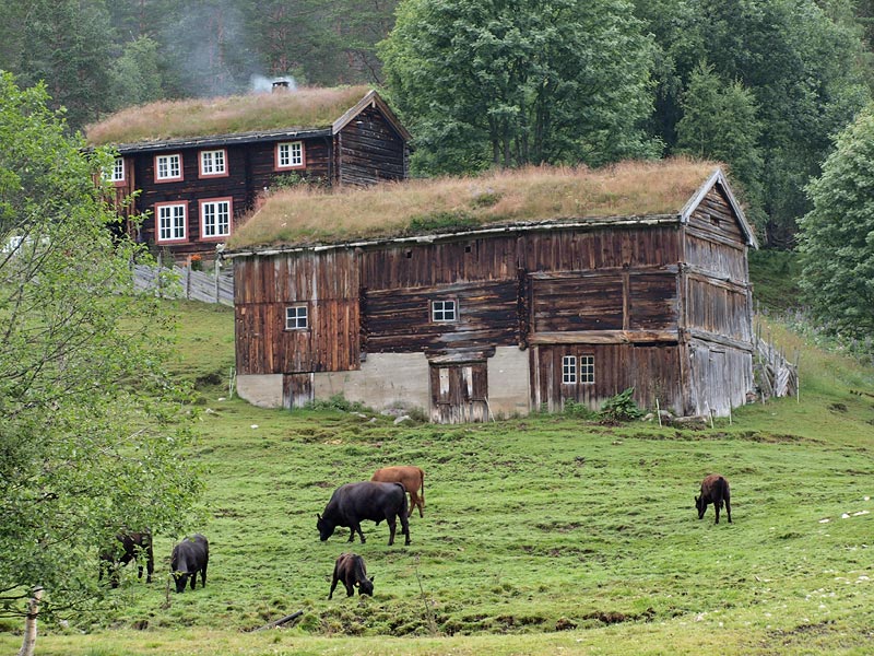 ������� ���������: �������. �������, �������..