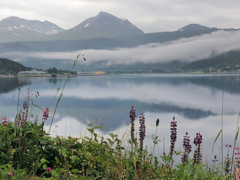 ������� ���������: ��������� ��������. ��������� � ������