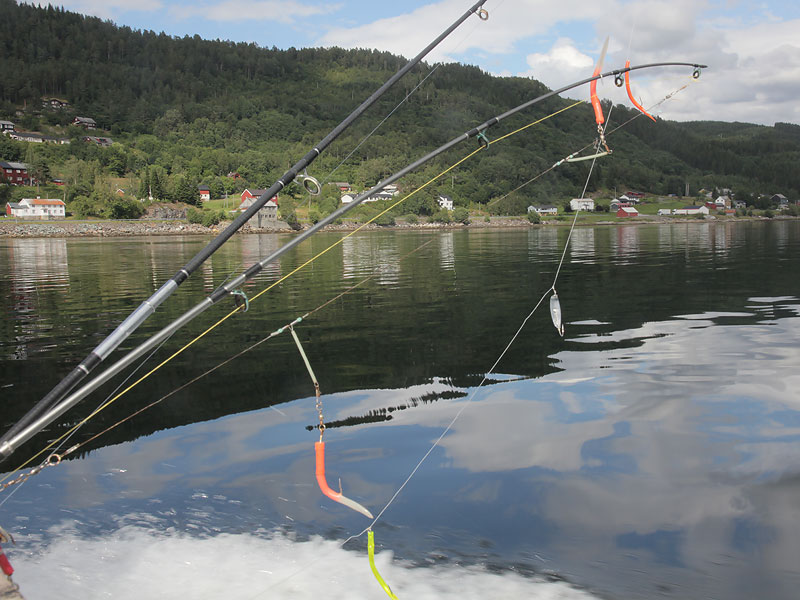 ������� ���������: ����������� �����. ������� �������