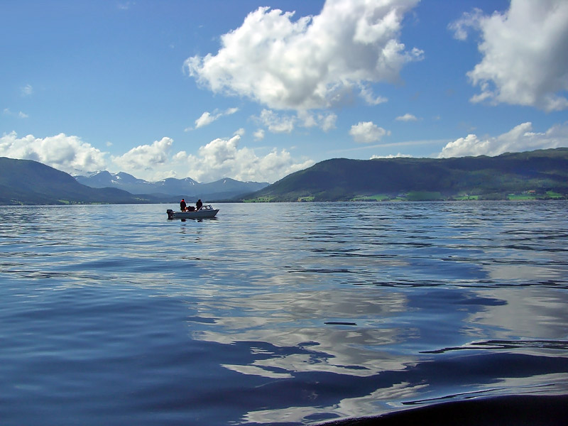 ������� ���������: � ������� ������� �����. ������� �������