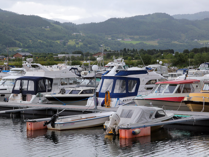 ������� ���������: ��� �����. ��������