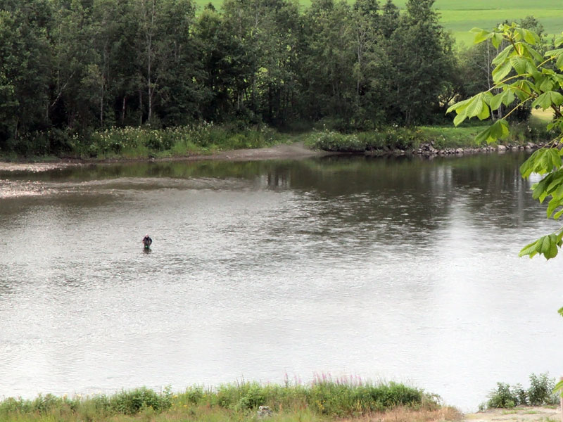 ������� ���������: � ����� ������. ����� �����