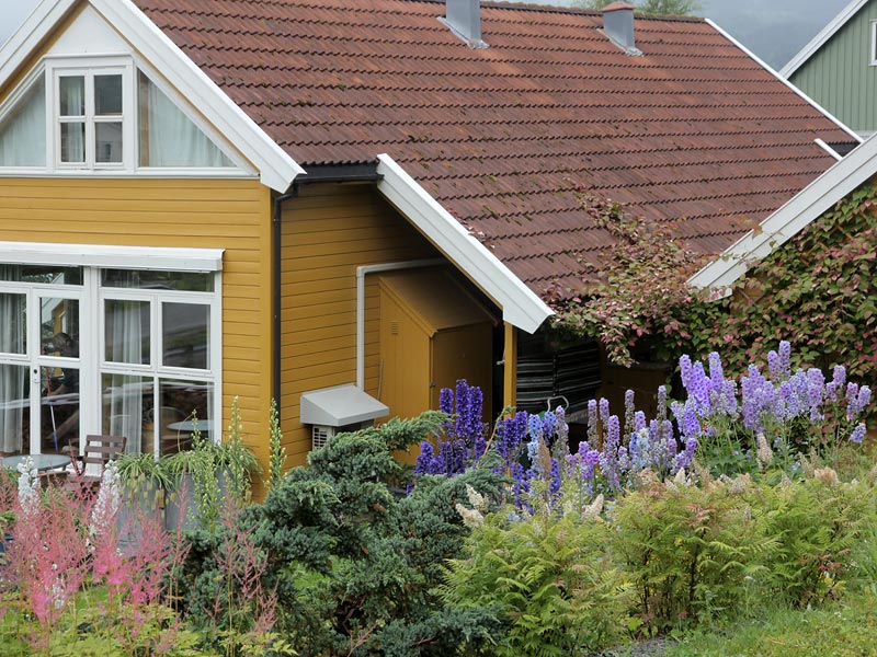 ������� ���������: � ��������� ������. �����