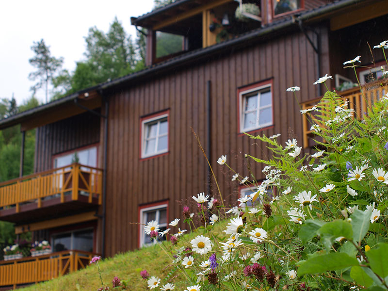 ������� ���������: ���������� ��� ������������?. ������