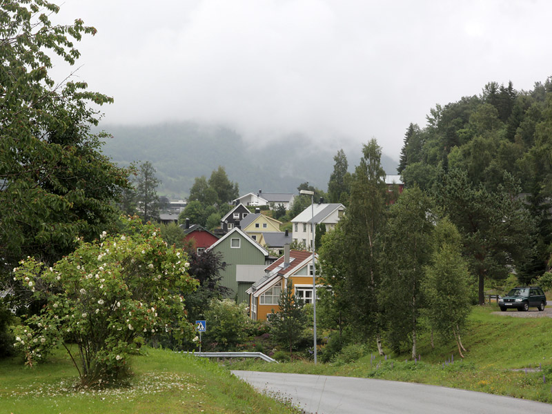 ������� ���������: ����� ����� ����� �����. ����� ����