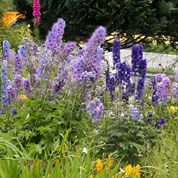 ������������� ����