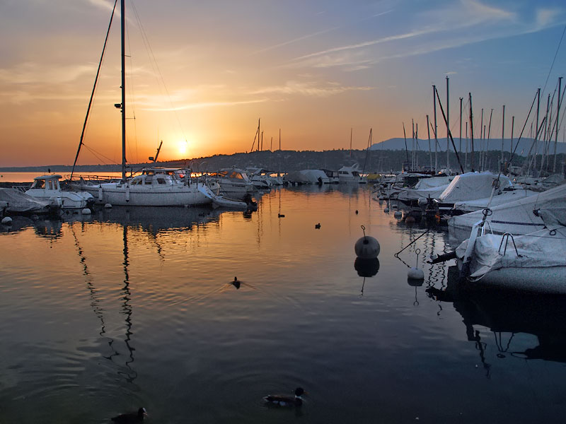 ������� ���������: ������� ��� ������. �����