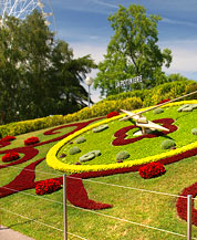 ��������� ����