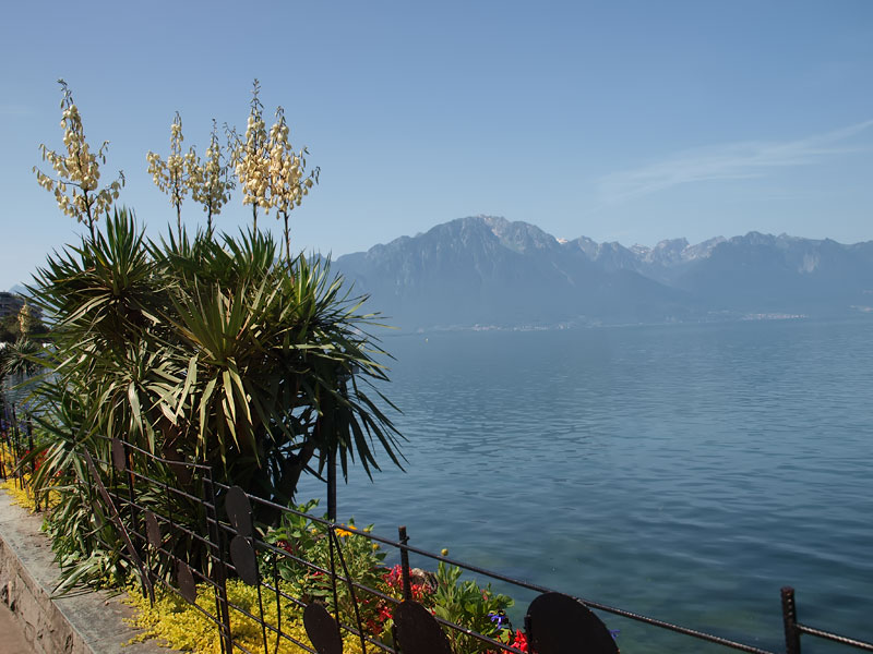 ������� ���������: �����, ���� � �����. �����