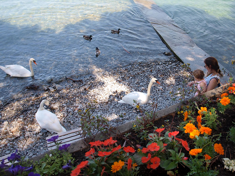 ������� ���������: �����, ������ � ����. �� ����������