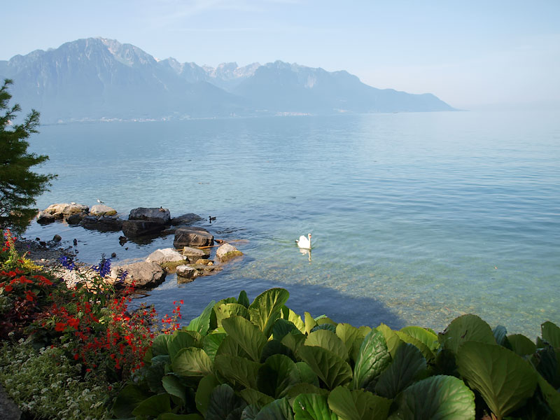 ������� ���������: ������ �����. ��������� �����