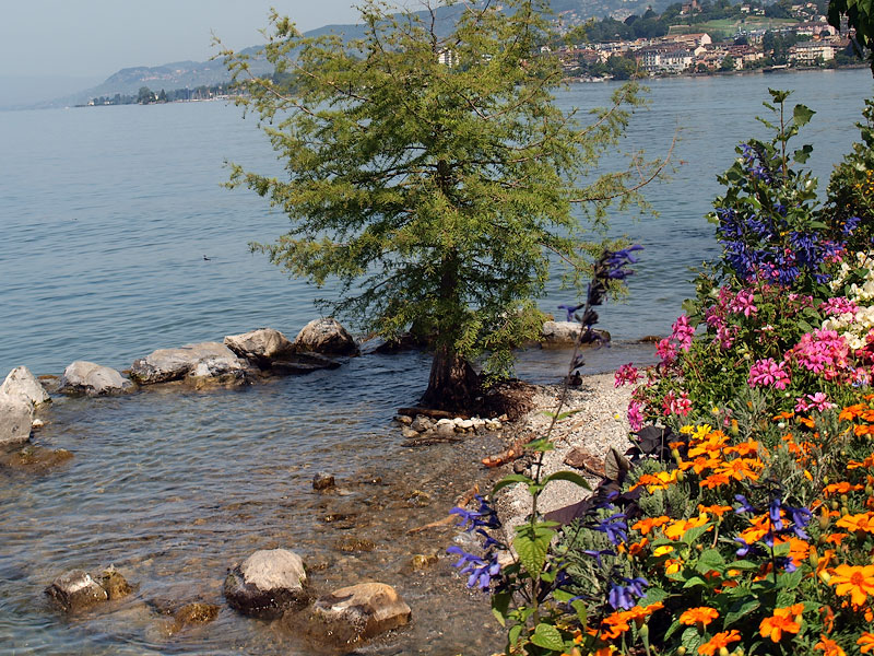 ������� ���������: ����� � �����. ���������� �����