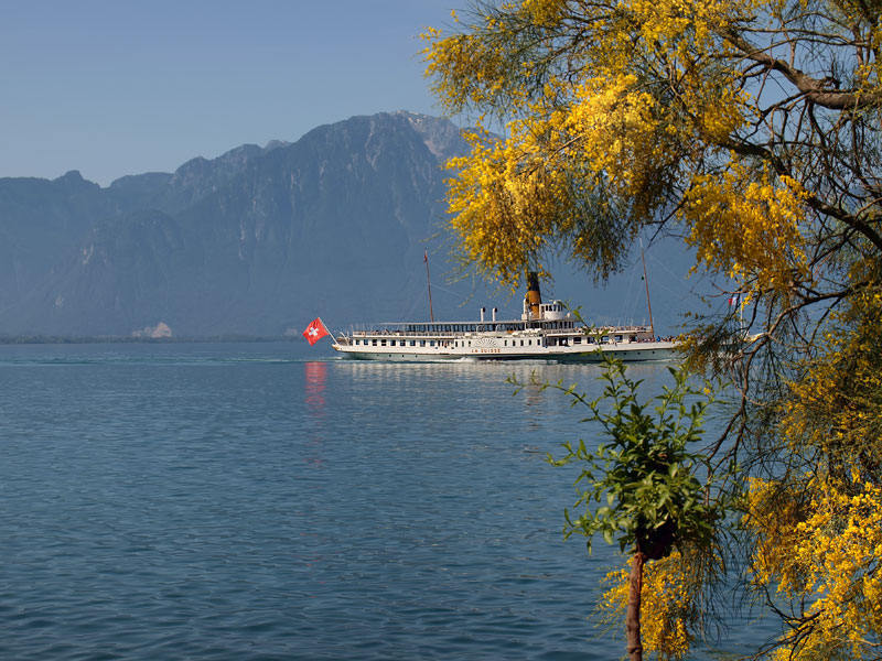 ������� ���������: �������� ������� � ��������� ����. �� ���� ����