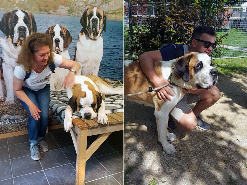 ������� ���������: ���������, ���� ��������. � �������� ���������