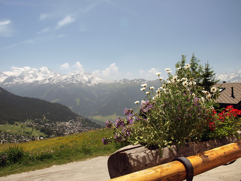 ������� ���������: ����� �������. � ���������