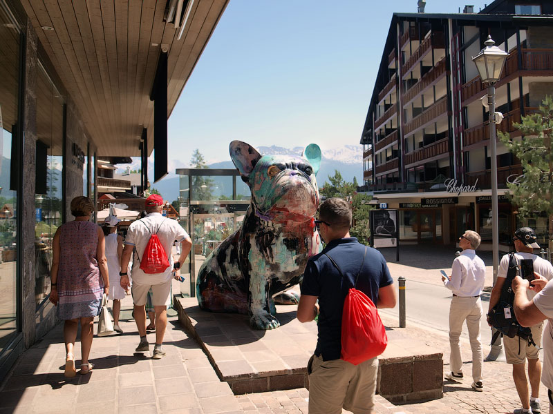 ������� ���������: ������ ����� ��� ������. ����-�������